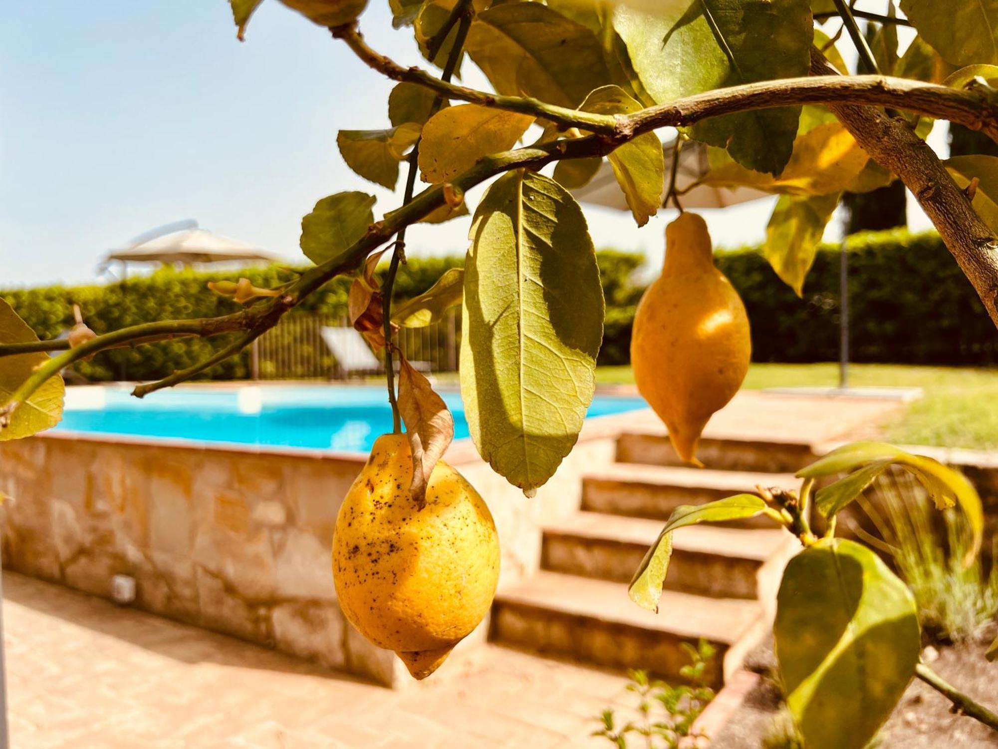 Libertas Tuscan Hideaway San Sano Exterior photo